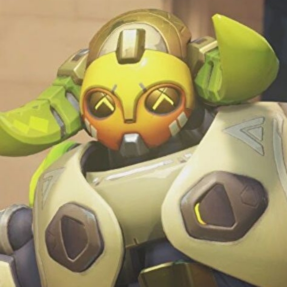 Meet your Posher, Riley - Picture 1 of 1